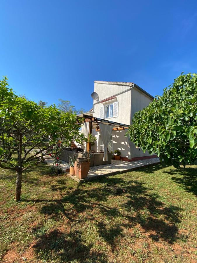Beautiful Island House Ugljan Apartment Екстериор снимка